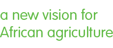 a new vision for African agriculture